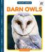Barn Owls by Elizabeth Andrews