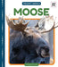 Moose by Elizabeth Andrews