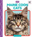 Maine Coon Cats by Elizabeth Andrews