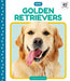 Golden Retrievers by Elizabeth Andrews