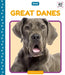Great Danes by Elizabeth Andrews