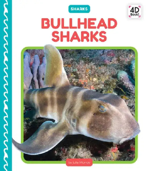 Bullhead Sharks by Julie Murray