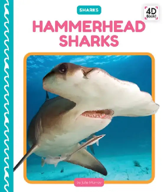 Hammerhead Sharks by Julie Murray