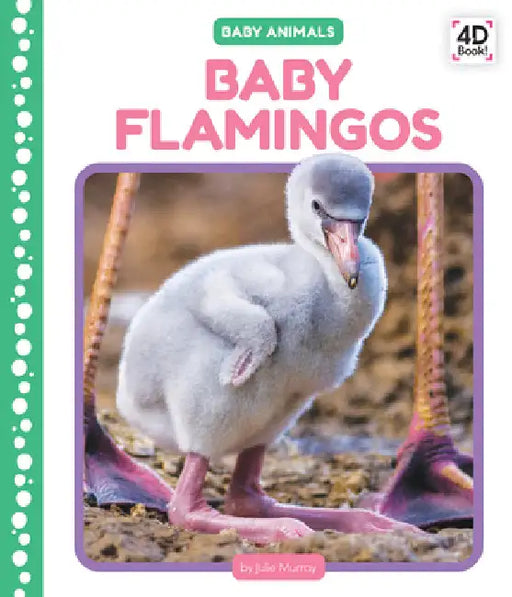 Baby Flamingos by Murray, Julie