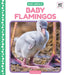Baby Flamingos by Murray, Julie