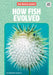 How Fish Evolved by Andrews, Elizabeth