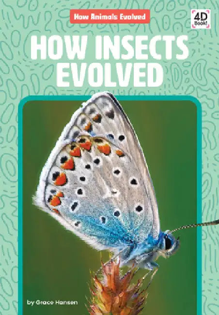 How Insects Evolved by Hansen, Grace
