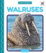 Walruses by Murray, Julie