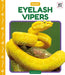 Eyelash Vipers by Julie Murray