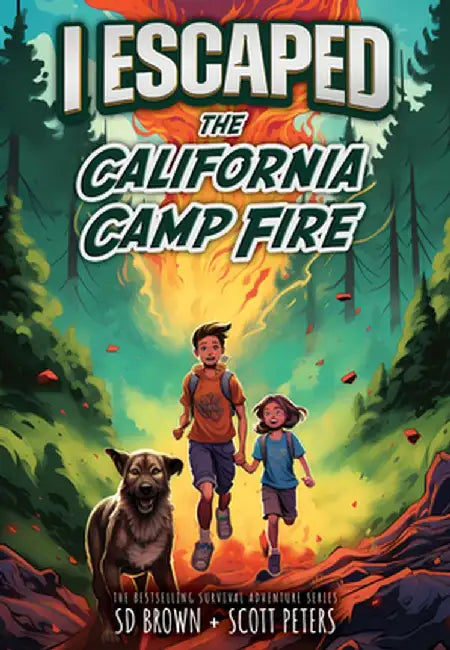 I Escaped the California Camp Fire by Sd Brown