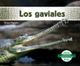 Los Gaviales (Gavials) by Grace Hansen