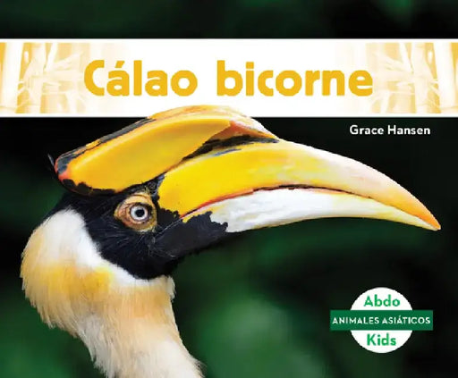 Cálao Bicorne by Grace Hansen