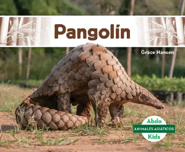 Pangolín by Grace Hansen