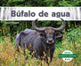 Búfalo de Agua by Grace Hansen