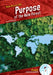 Purpose of the Rain Forest by Julie Murray