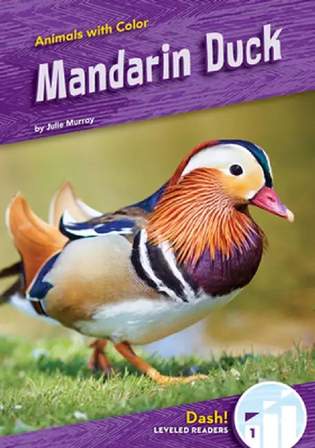 Mandarin Duck by Julie Murray