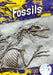 Fossils by Julie Murray