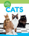 Cats by Kathy MacMillan