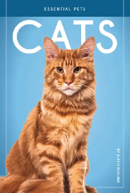 Cats by Alexis Burling