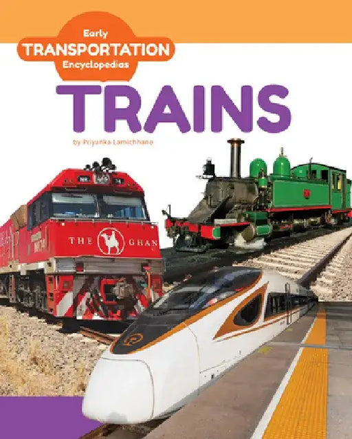 Trains by Priyanka Lamichhane