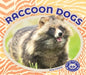 Raccoon Dogs by Ruby Daniels
