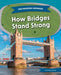How Bridges Stand Strong by Joanne Mattern