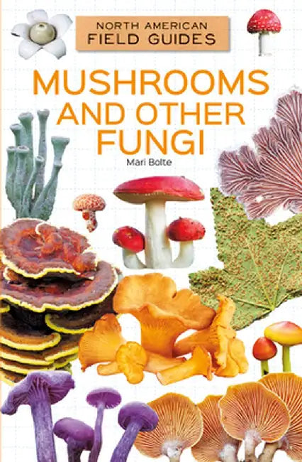 Mushrooms and Other Fungi by Mari Bolte