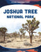 Joshua Tree National Park by Yvette Lapierre