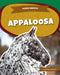Appaloosa by Whitney Sanderson