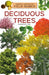 Deciduous Trees by Bell, Samantha S.