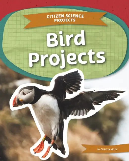 Bird Projects by Christa Kelly