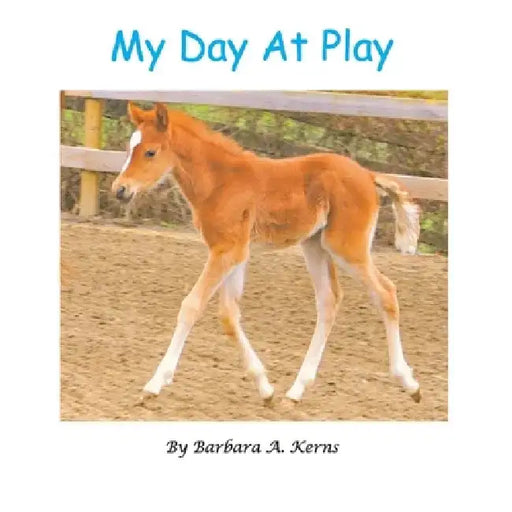My Day at Play by Barbara A. Kerns
