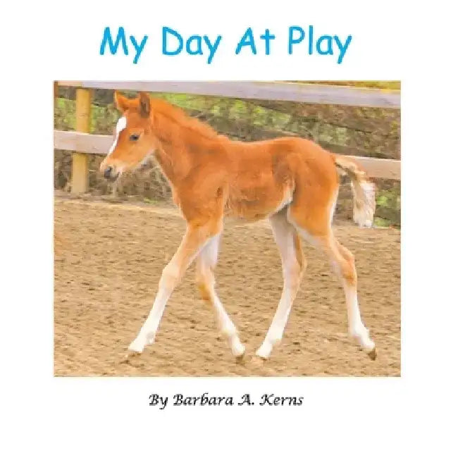 My Day at Play by Barbara A. Kerns