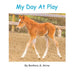 My Day at Play by Barbara A. Kerns