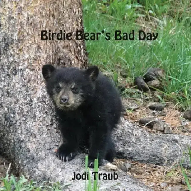 Birdie Bear's Bad Day by Jodi Traub