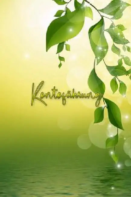 Kontoführung: Meine Kontoführung im Überblick mit dem Kontoführungs Buch - Debitorenbuchhaltung - Buchhaltungsbuch - EÜR by Checking Account Ledger