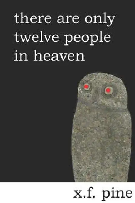 There Are Only Twelve People in Heaven by X. F. Pine
