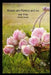 Roses are Perfect and so are You by Melody Seelye