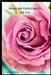 Roses are Perfect and so are You by Melody Seelye