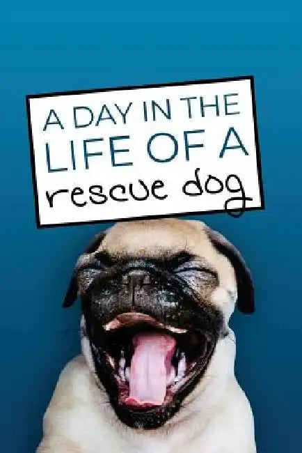 A Day in the Life of a Rescue Dog by Archie B. Nabb