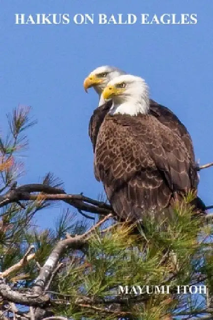 Haikus on Bald Eagles by Mayumi Itoh