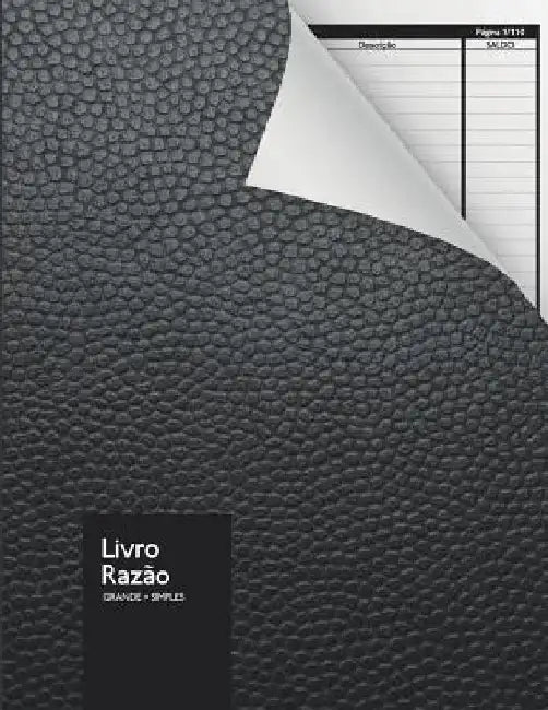 Livro Razão - Grande + Simples: Livro Caixa Formato Grande Entradas - Saídas 110 Páginas by Sul