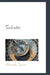 Salvator by Alexandre Dumas