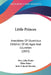 Little Princes: Anecdotes Of Illustrious Children Of All Ages And Countries (1843) by John Slater, Eliza Slater, John Calcott Horsley