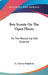 Boy Scouts On The Open Plains: Or The Round-Up Not Ordered by G. Harvey Ralphson