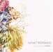 What Remains: Paintings by Leslie Parke by Leslie Parke