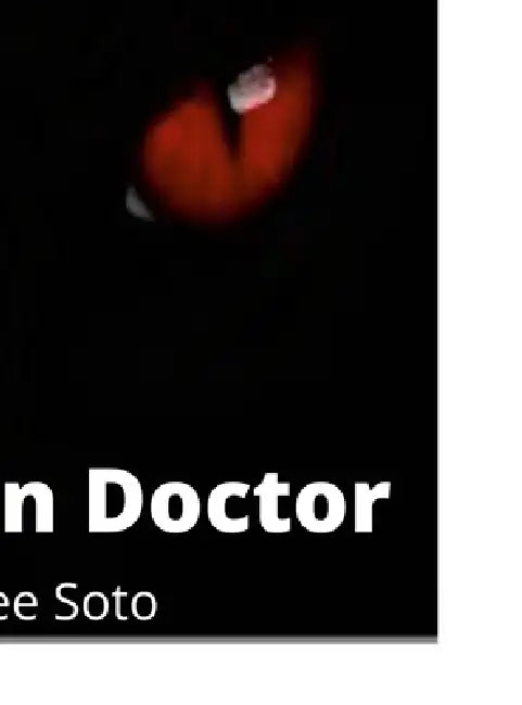 The Demon Doctor by Destinee Soto