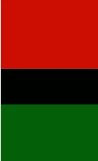 The Black Gentleman by C. B. Wright
