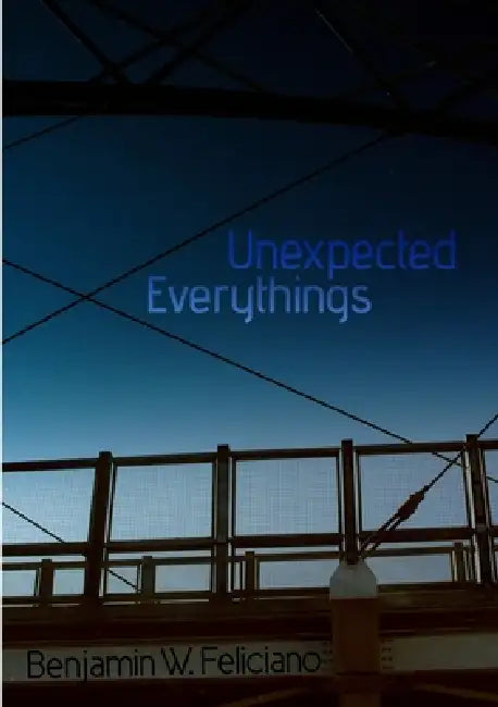 Unexpected Everythings by Benjamin Feliciano