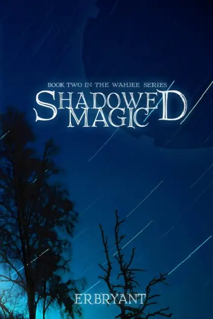 Shadowed Magic by E. R. Bryant